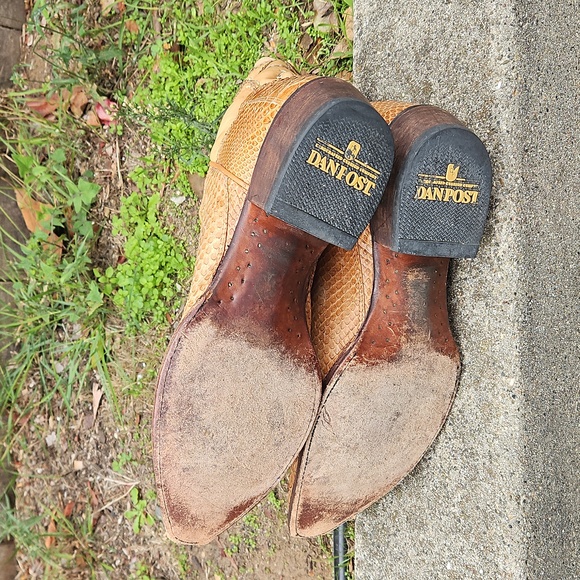 Dan Post Python skin Cowboy Boots Tan Men 11.5 E (WIDE) - Picture 12 of 16